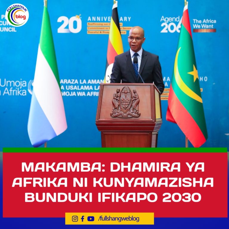 MAKAMBA: DHAMIRA YA AFRIKA NI KUNYAMAZISHA BUNDUKI IFIKAPO 2030