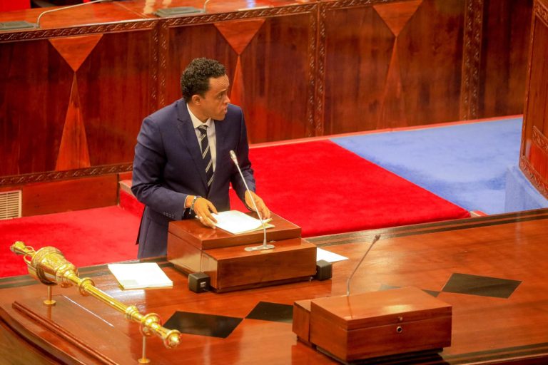 WAZIRI BASHE ABAINISHA MIKAKATI YA SERIKALI KUONGEZA UZALISHAJI ZAO LA MKONGE