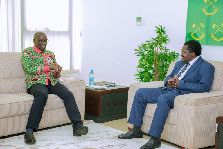 BALOZI DK NCHIMBI; KAZI KUBWA ZA SAMIA ZINAIPA CCM UJASIRI