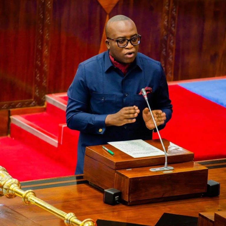 SERIKALI YAAINISHA MPANGO WA KUSAIDIA WACHIMBAJI WADOGO NCHINI