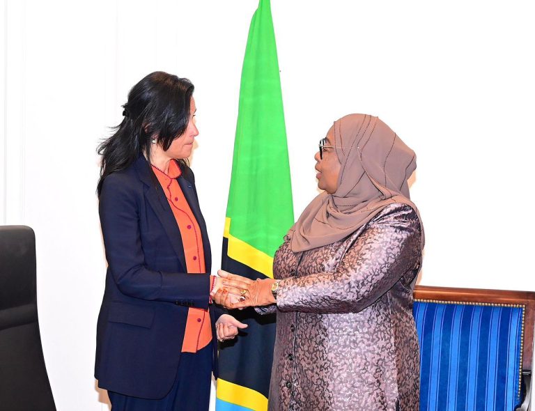 RAIS SAMIA AKUTANA NA WAZIRI ANAYESHUGHULIKIA MASUALA YA KIMATAIFA UFARANSA