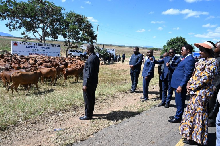MAUZO YA NYAMA NJE YA NCHI YAONGEZEKA- MAJALIWA