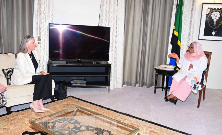 RAIS SAMIA AZUNGUMZA NA MTENDAJI MKUU WA CLEAN COOKING ALLIANCE JIJINI PARIS