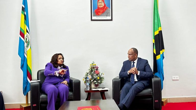 BALOZI MBAROUK AKUTANA NA NAIBU WAZIRI WA MAMBO YA NJE WA ETHIOPIA JIJINI DODOMA
