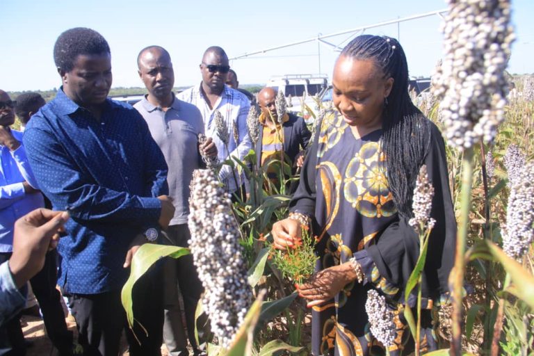 SERIKALI YATOA MIEZI SABA KWA WAKALA WA MBEGU KUJENGA GHALA ZA KUCHATAKA MBEGU.
