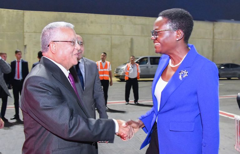 SPIKA WA BUNGE AWASILI MISRI KWA ZIARA YA SIKU TATU