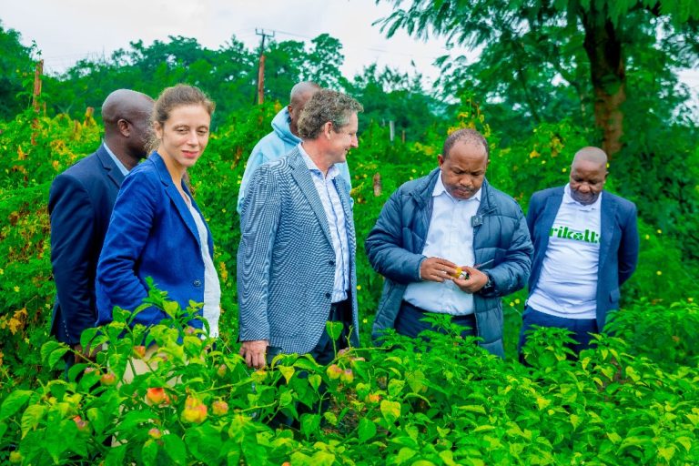 BALOZI WA UBELGIJI TANZANIA ATEMBELEA MIRADI YA USHIRIKIANO SEKTA YA KILIMO ARUSHA