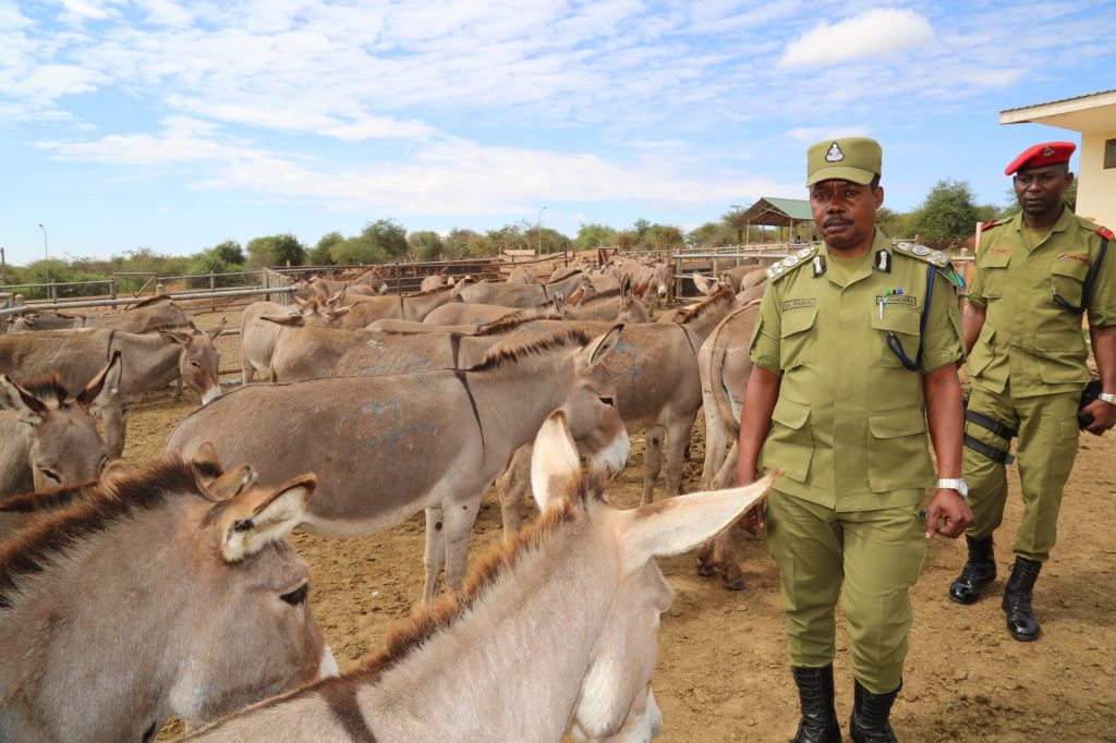 JESHI LA POLISI LAWAKAMATA WATUHUMIWA WANNE WAKISAFIRISHA PUNDA NJE YA NCHI.