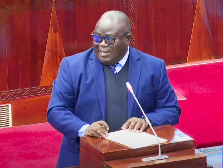 MAANDALIZI UJENZI WA BARABARA YA MWEMBE – MBAGA HADI MAMBA KM 90.19 KWA LAMI YAANZA