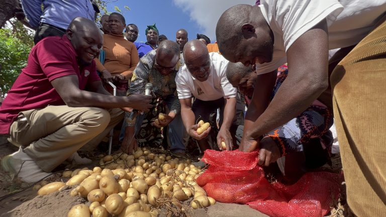 VIAZI MVIRINGO KUANZA KULIMWA RUVUMA-UTAFITI