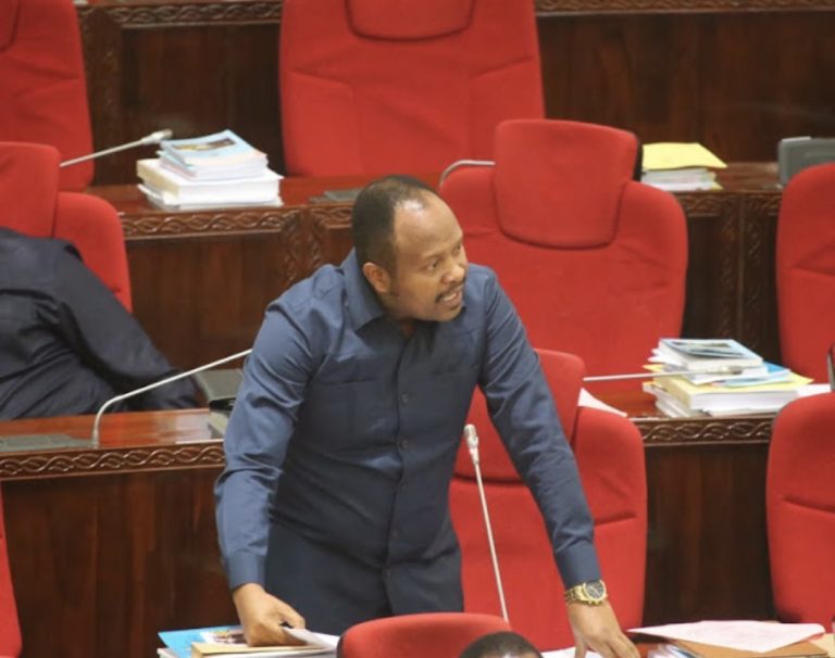 MATHAYO AMBANA SLAA BUNGENI UTATUZI MIGOGORO YA ARIDHI KATA ZA BANGALALA,MAKANYA NA RUVU.