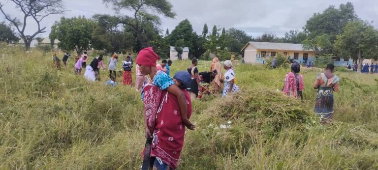 WANANCHI DODOMA WAFANYA USAFI KUEPUKA MAGONJWA YA MLIPUKO