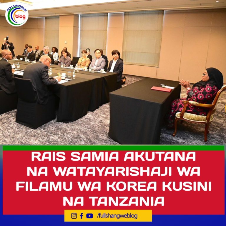 RAIS SAMIA AKUTANA NA WATAYARISHAJI WA FILAMU TANZANIA NA KOREA KUSINI