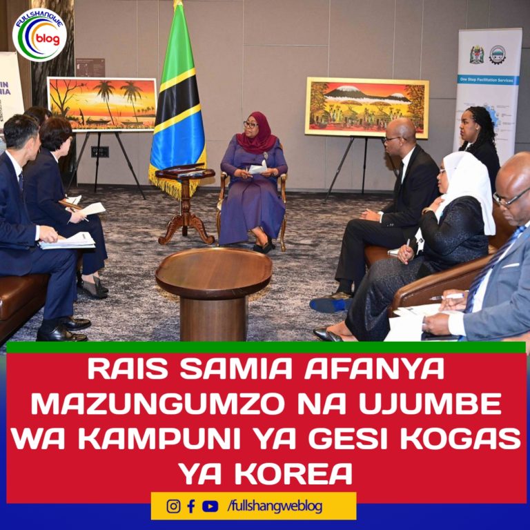 RAIS SAMIA AFANYA MAZUNGUMZO NA UJUMBE WA KAMPUNI YA GESI KOGAS YA KOREA