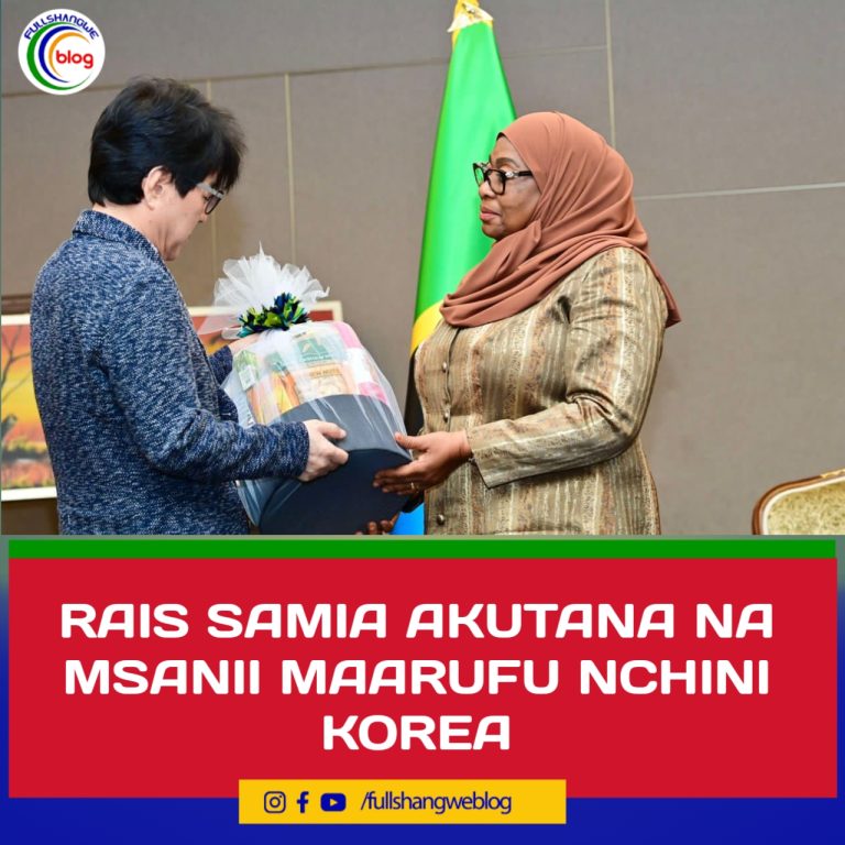 RAIS SAMIA AKUTANA NA MSANII MAARUFU NCHINI KOREA