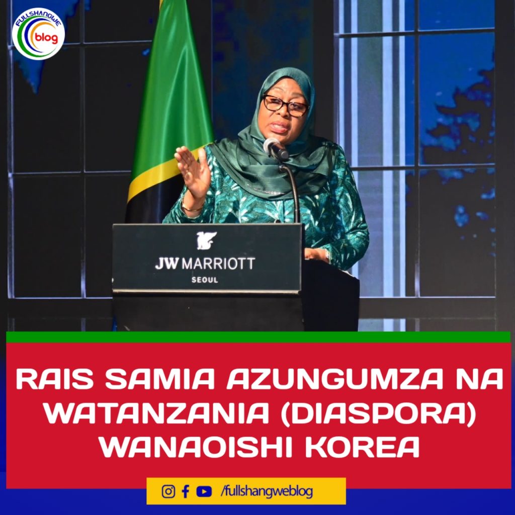 RAIS SAMIA AZUNGUMZA NA WATANZANIA (DIASPORA) WANAOISHI KOREA