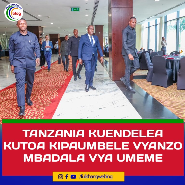 TANZANIA KUENDELEA KUTOA KIPAUMBELE VYANZO MBADALA VYA UMEME