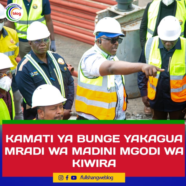 KAMATI YA BUNGE YAKAGUA MRADI WA MADINI MGODI WA KIWIRA