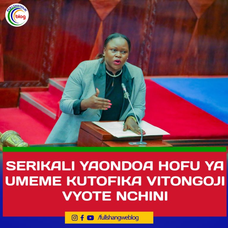 SERIKALI YAONDOA HOFU YA UMEME KUTOFIKA VITONGOJI VYOTE NCHINI