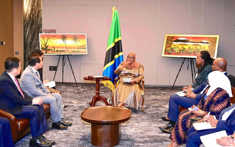RAIS SAMIA KATIKA MAZUNGUMZO NA VIONGOZI WA KAMPUNI YA POSCO INTERNATIONAL YA KOREA
