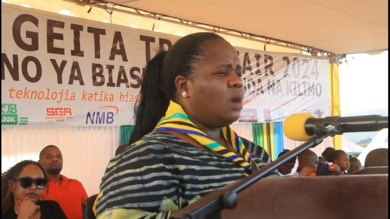 DC KINGARAME AWAOMBA WAWEKEZAJI KUWEKEZA GEITA.