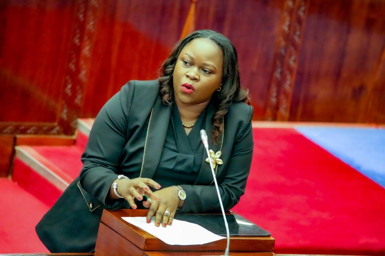 VIJIJI 31 KATI YA 34 MBULU MJINI VYAPATIWA UMEME