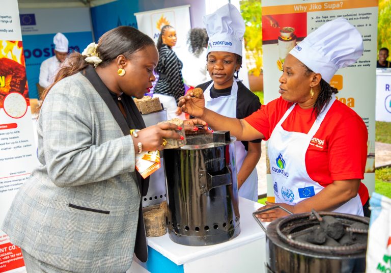 SEKTA BINAFSI MSHIRIKA MKUBWA WA SERIKALI KATIKA KUTEKELEZA AGENDA YA NISHATI SAFI YA KUPIKIA
