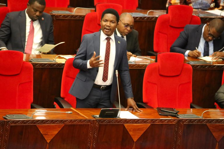 WAZIRI JAFO AKICHANGIA HOTUBA YA BAJETI 2024/25 BUNGENI
