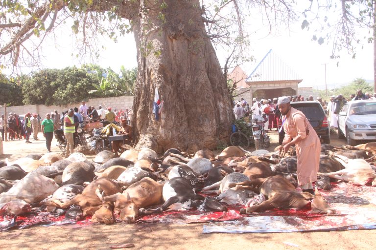 AKHSANTE FOUNDATION WACHINJA NA KUGAWA NYAMA YA NG’OMBE, KONDOO NA MBUZI MIRERANI 