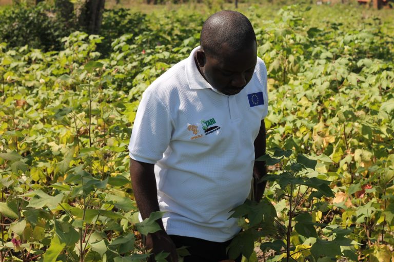 KUTOKA TAASISI YA UTAFITI WA KILIMO TANZANIA (TARI)