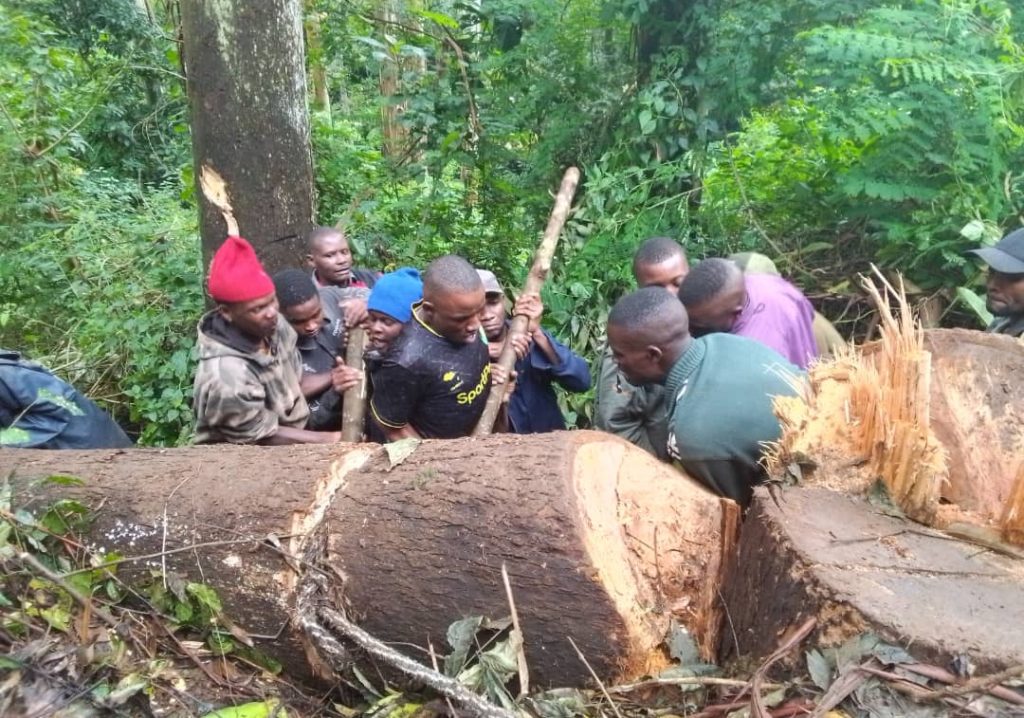 WANANCHI KIBOSHO WAIOMBA SERIKALI KUWAJENGEA VIVUKO VYA KUDUMU
