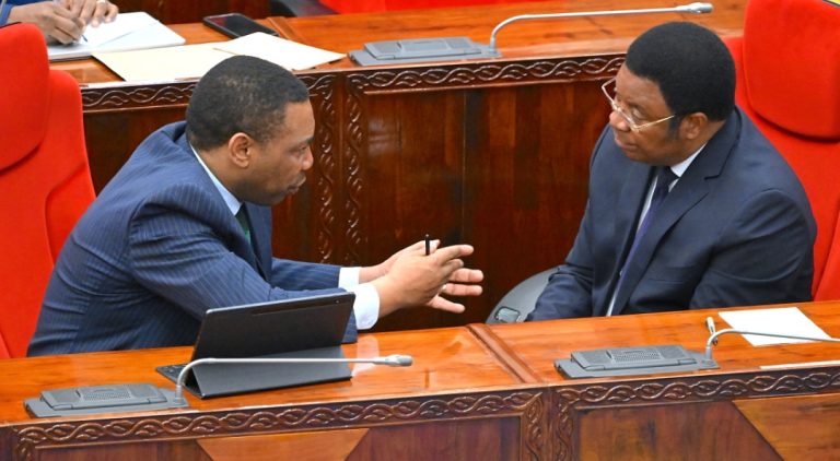 BILIONI 346 KUTUMIKA KUIMARISHA USALAMA WA MILKI ZA ARDHI – MAJALIWA