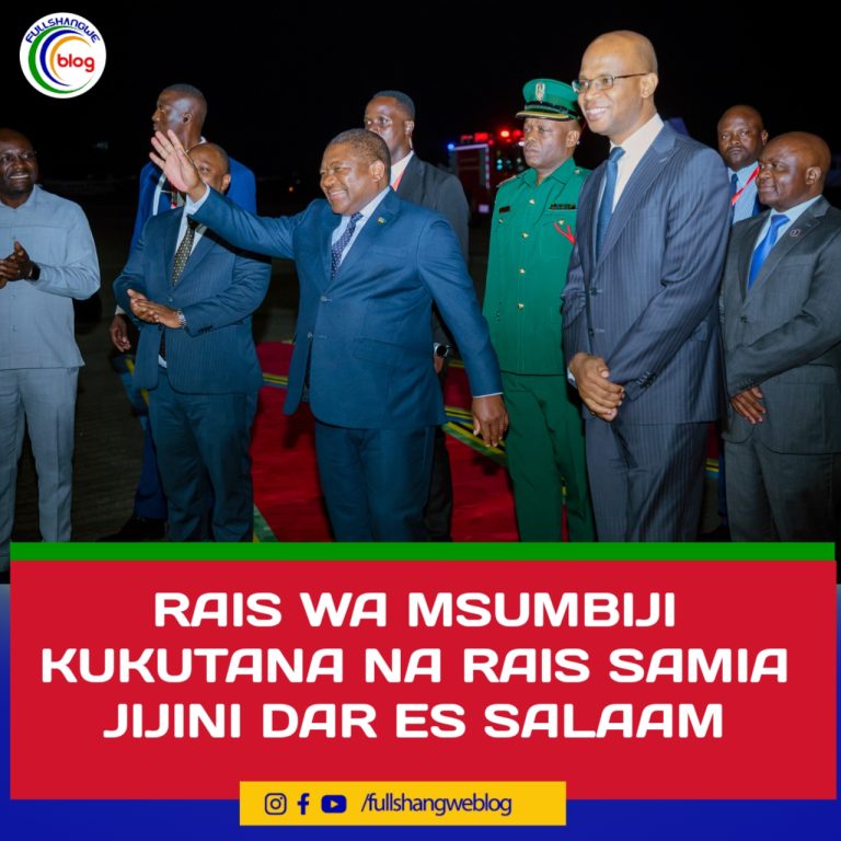 RAIS WA MSUMBIJI KUKUTANA NA RAIS SAMIA JIJINI DAR ES SALAAM