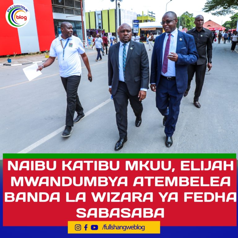 NAIBU KATIBU MKUU, ELIJAH MWANDUMBYA ATEMBELEA BANDA LA WIZARA YA FEDHA SABASABA