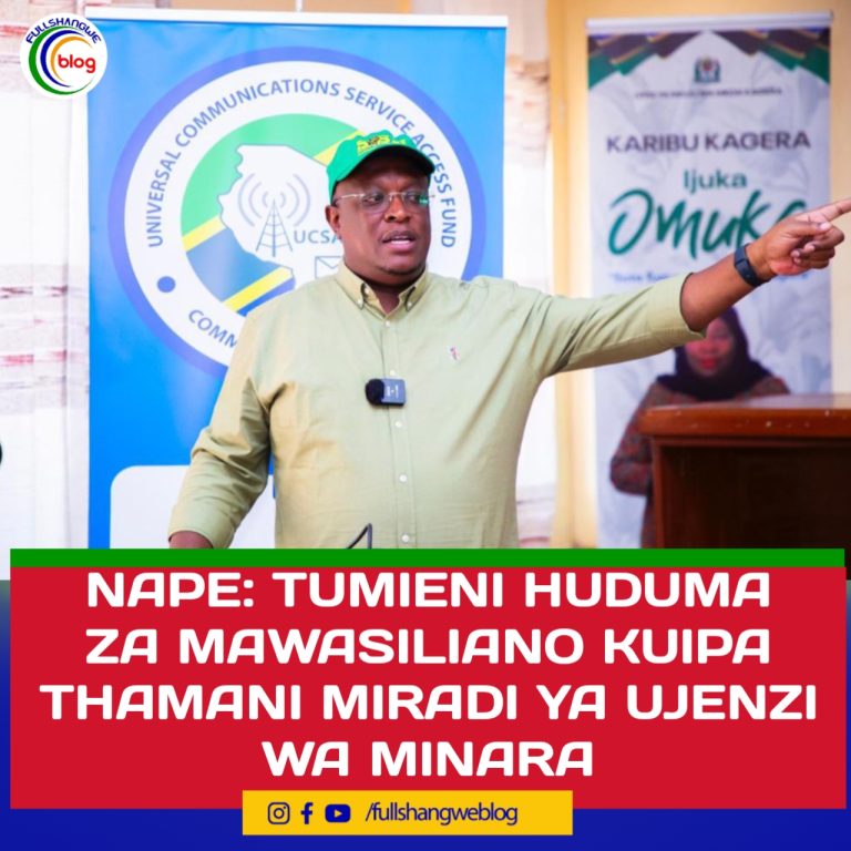NAPE: TUMIENI HUDUMA ZA MAWASILIANO KUIPA THAMANI MIRADI YA UJENZI WA MINARA
