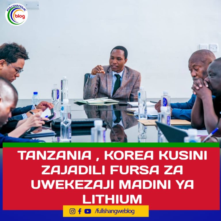 TANZANIA , KOREA KUSINI ZAJADILI FURSA ZA UWEKEZAJI MADINI YA LITHIUM