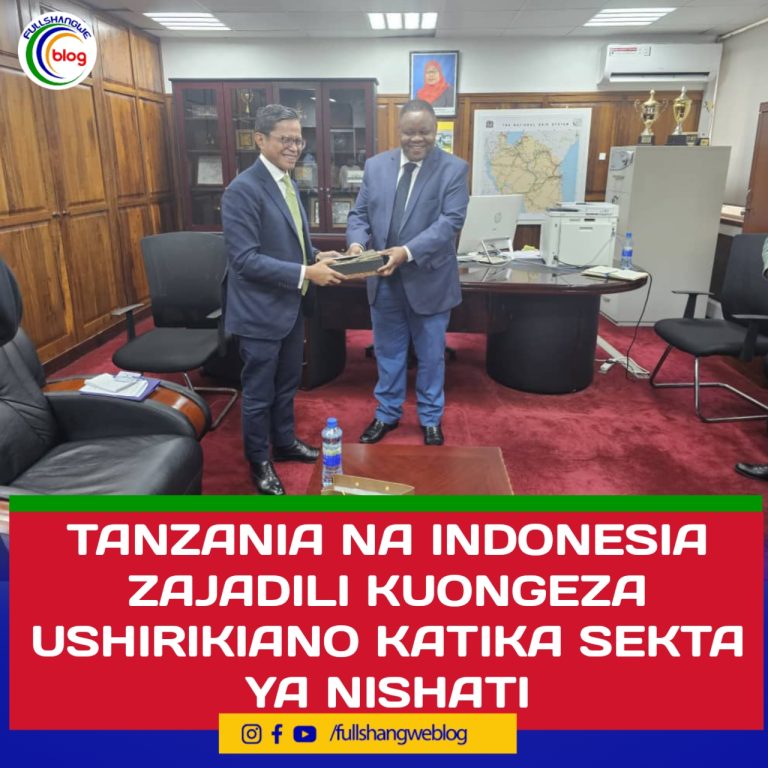TANZANIA NA INDONESIA ZAJADILI KUONGEZA USHIRIKIANO KATIKA SEKTA YA NISHATI