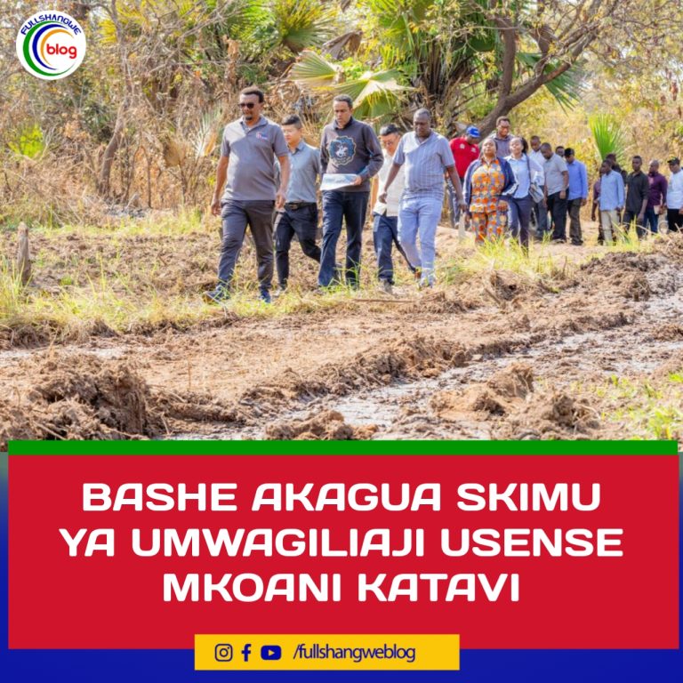 BASHE AKAGUA SKIMU YA UMWAGILIAJI USENSE MKOANI KATAVI