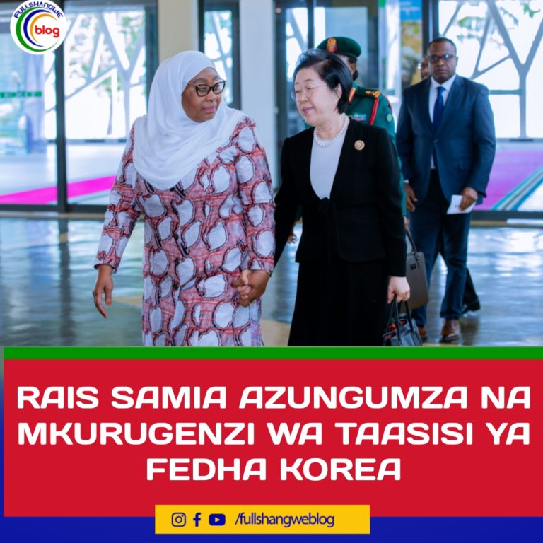 RAIS SAMIA AZUNGUMZA NA MKURUGENZI WA TAASISI YA FEDHA KOREA