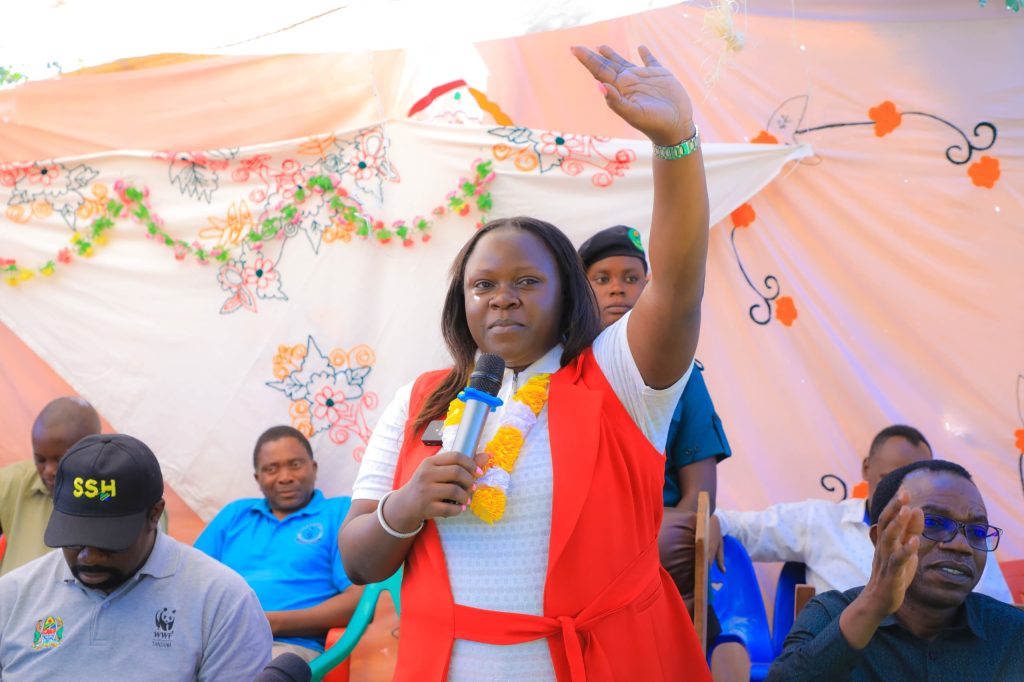 NAIBU WAZIRI KAPINGA ATAKA KASI YA UUNGANISHAJI UMEME USHETU IONGEZEKE