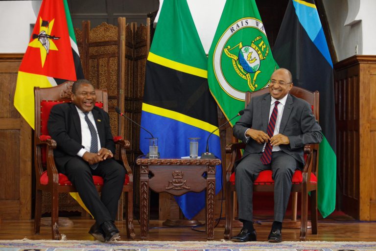 DKT.MWINYI AKUTANA NA RAIS WA MSUMBIJI