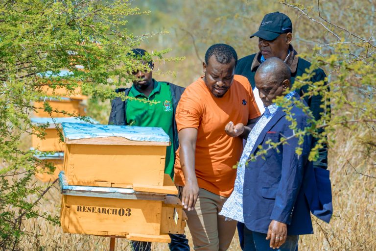UFUGAJI NYUKI WATOA AJIRA KWA VIJANA NCHINI