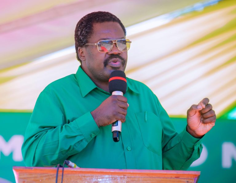 BALOZI NCHIMBI APOKEA TAARIFA UTEKELEZAJI ILANI MCHINGA, AMPONGEZA MBUNGE MAMA SALMA KIKWETE KWA KAZI NZURI