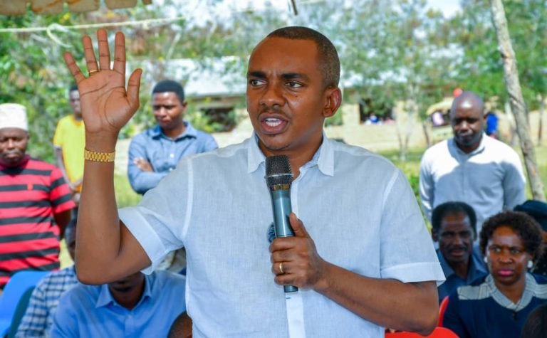 JERRY SILAA- KUUNDA TIMU YA WATAALAMU WA ARDHI ILI KUFANYA UHAKIKI WA MIPAKA NA HISTORIA YA CHAMAKWEZA,MBALA