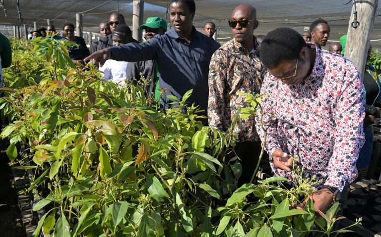 WAZIRI MKUU AKAGUA SHAMBA LA MICHE YA PARACHICHI NA UJENZI WA HOSPITALI YA MJI MAFINGA