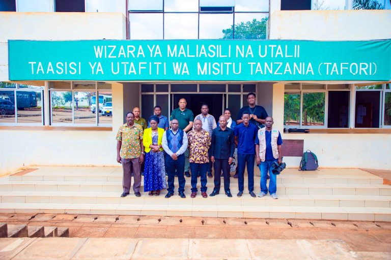 TAFORI YAANIKA FURSA KUPITIA MISITU NA NYUKI