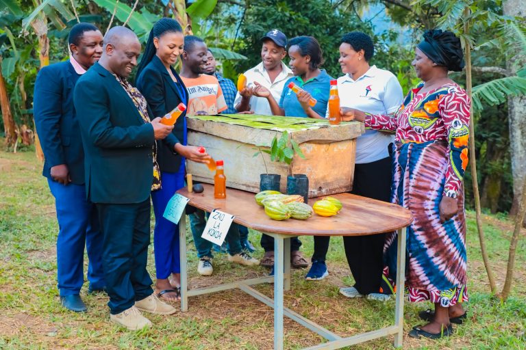 PROGRAMU YA ECO-SCHOOL YANUFAISHA  SEKTA ZA MISITU  NA NYUKI*