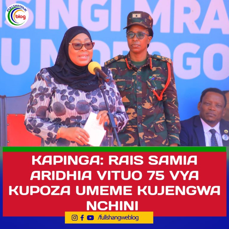 KAPINGA: RAIS SAMIA ARIDHIA VITUO 75 VYA KUPOZA UMEME KUJENGWA NCHINI