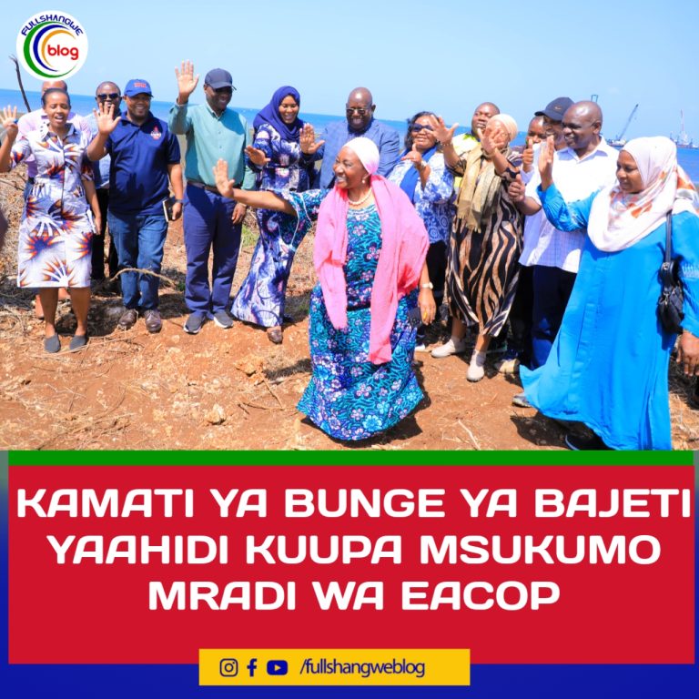 KAMATI YA BUNGE YA BAJETI YAAHIDI KUUPA MSUKUMO MRADI WA EACOP