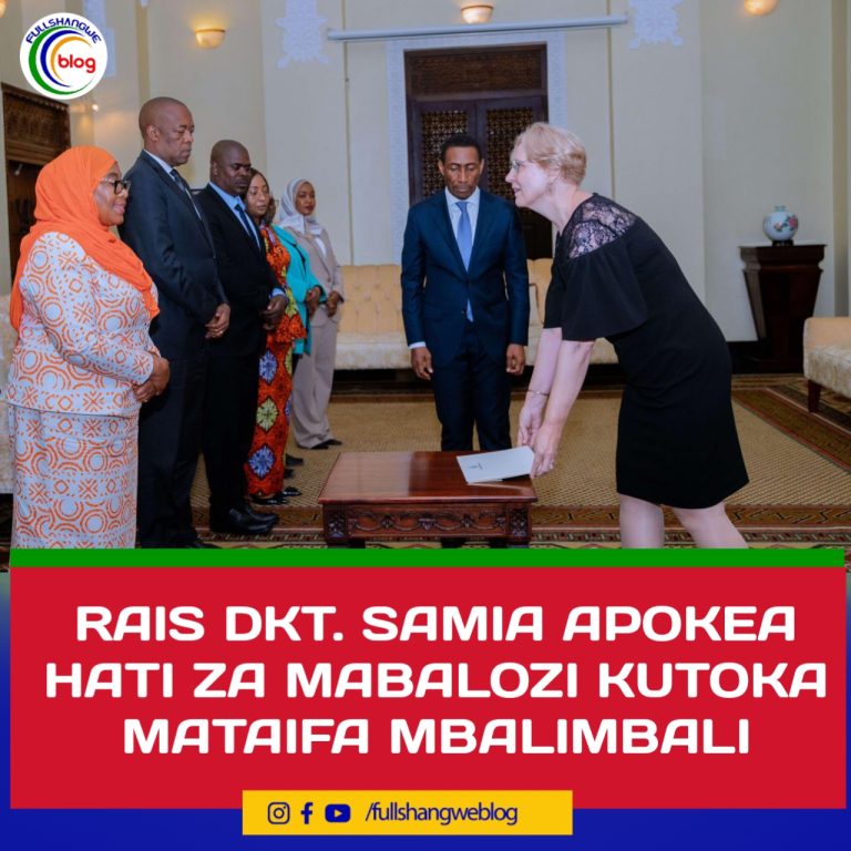 RAIS DKT. SAMIA APOKEA HATI ZA MABALOZI KUTOKA MATAIFA MBALIMBALI